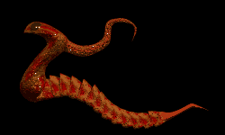 Spinder flying