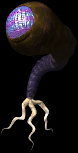 Revised Optifice model