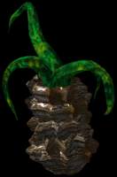 Drooping Leaf Tree
